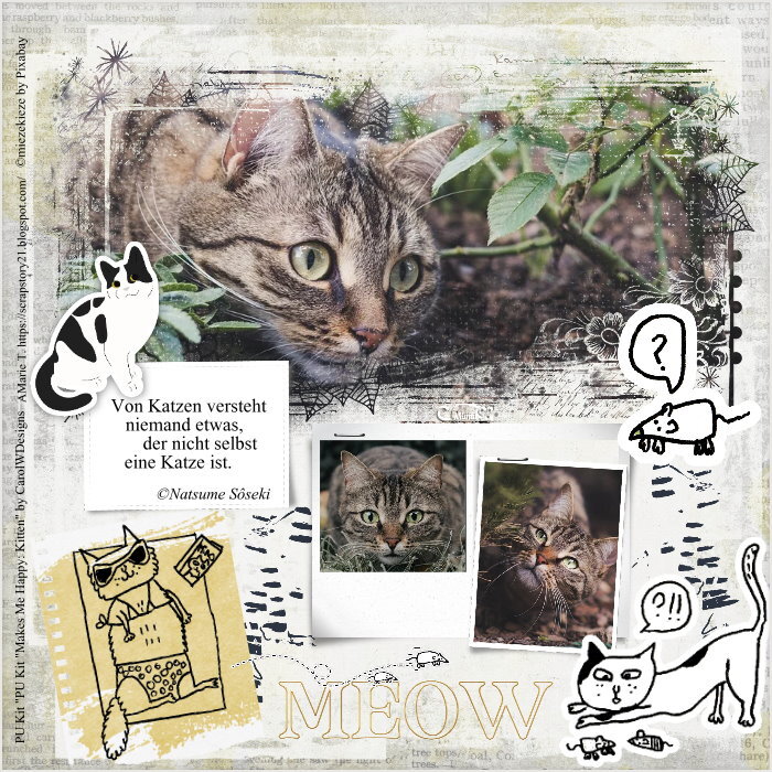 Bilder Tagesdownload des Scrapkits "Makes Me Happy: Kitten" by CarolWDesigns