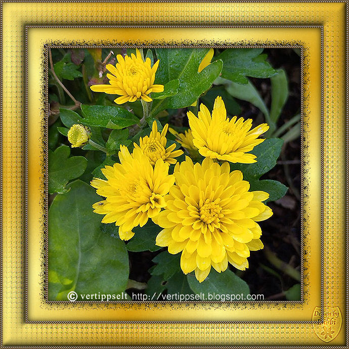 Rahmentutorial WA 45/2025