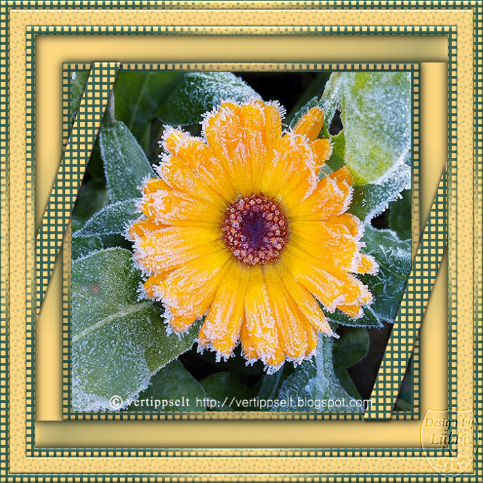 Rahmentutorial WA 48/2025