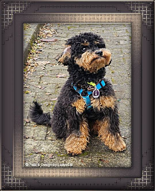 Rahmentutorial WA 07/2026