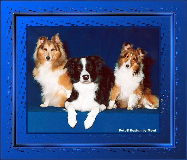 Rahmentutorial WA 10/2026