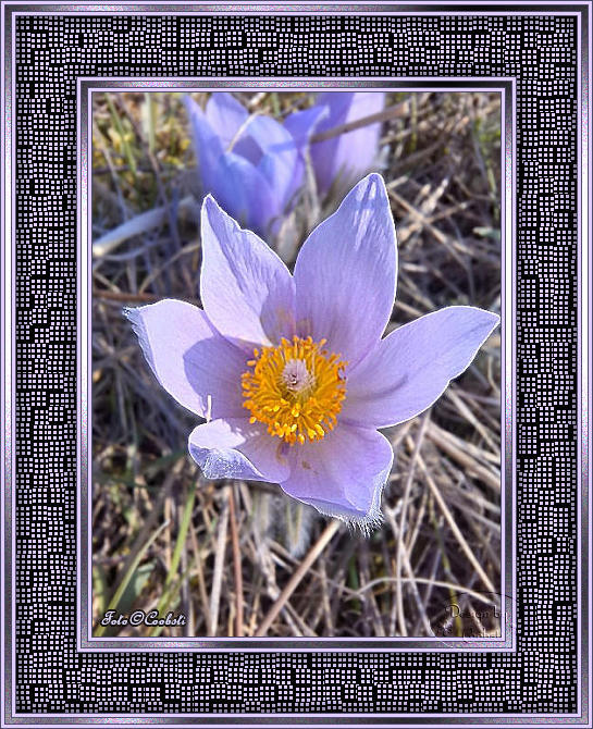 Rahmentutorial WA 13/2026