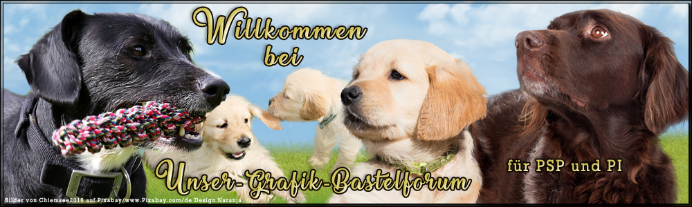 Unser-Grafik-Bastelforum